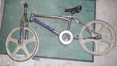 IMGP4834 (Copier).JPG