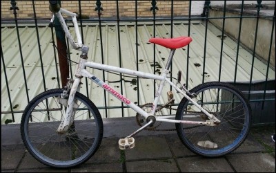 ammaco team champion pro star bmx