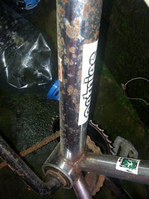 MON DNA 97 DANS UN BIEN SALE ETAT3.jpg