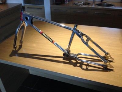 photo supergoose 001.jpg