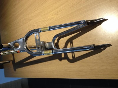 photo supergoose 002.jpg