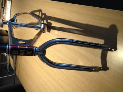 photo supergoose 003.jpg