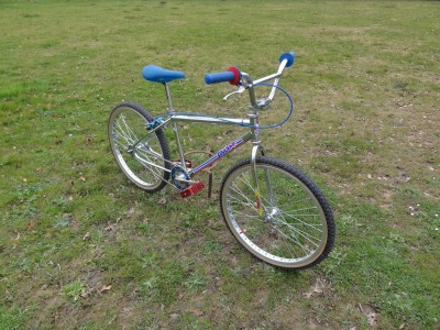 DSC01055 [1024x768].JPG