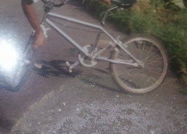 mon fameux raleigh a 75 euros