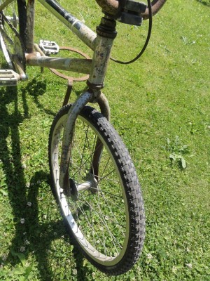 DSC01661 [1024x768].JPG