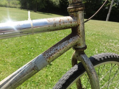 DSC01663 [1024x768].JPG