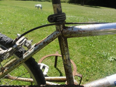 DSC01664 [1024x768].JPG