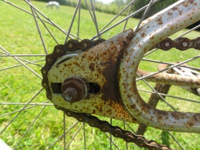 DSC01665 [1024x768].JPG