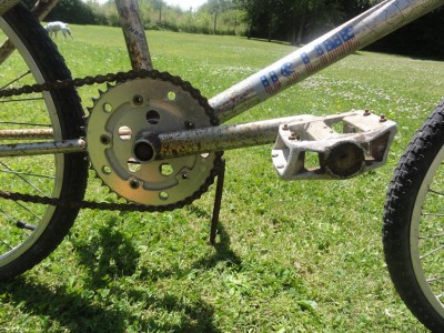 DSC01666 [1024x768].JPG