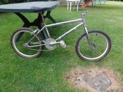 DSC01667 [1024x768].JPG