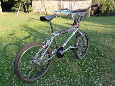 DSC01694 [1024x768].JPG