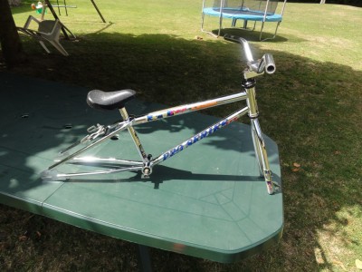 DSC01817 [1024x768].JPG