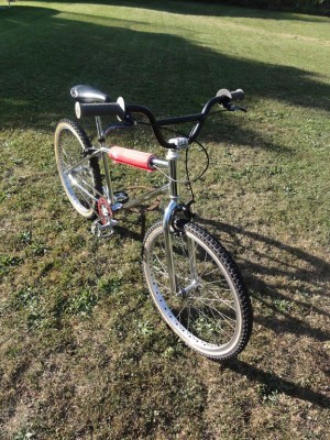 DSC01835 [1024x768].JPG