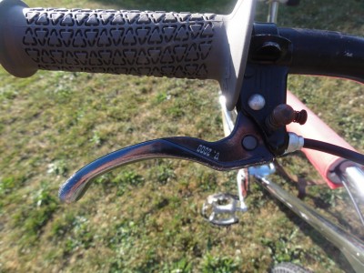 DSC01839 [1024x768].JPG