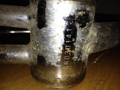 photo iphone 179.jpg