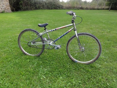 DSC01974 [1024x768].JPG