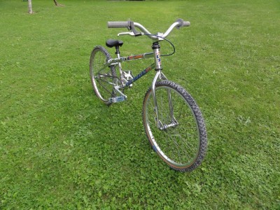 DSC01975 [1024x768].JPG