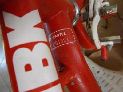 IMGP3323 (Copier).JPG