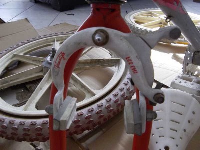 IMGP3324 (Copier).JPG