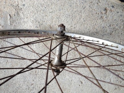 photo iphone 269.jpg