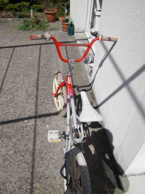 IMGP3330 (Copier).JPG