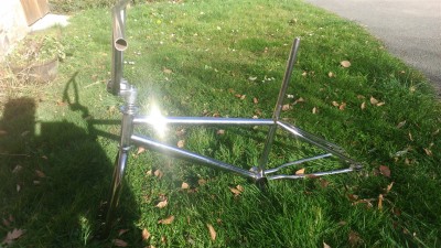 DSC_7795 (1552 x 873).jpg