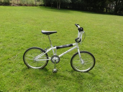 DSC02557 [1024x768].JPG