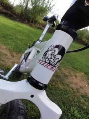 DSC02594 [800x600].JPG