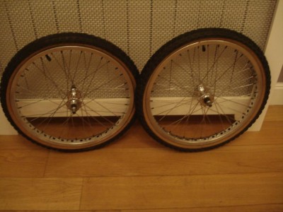 Copie de DSC08672.JPG