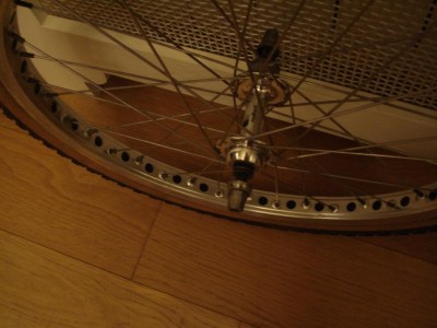 Copie de DSC08673.JPG