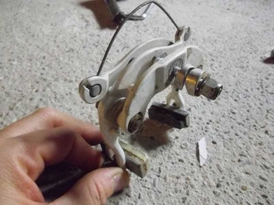 IMGP3697 (Copier).JPG