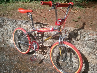 Radical avec les mousses faites maison