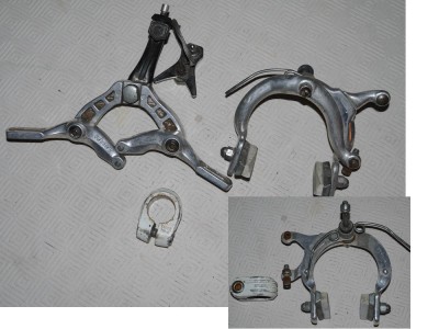 collier tange + pitbull